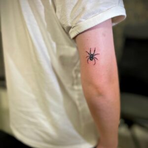 pavouk tetování – Praha 9 – Kristina Eis Tattoo